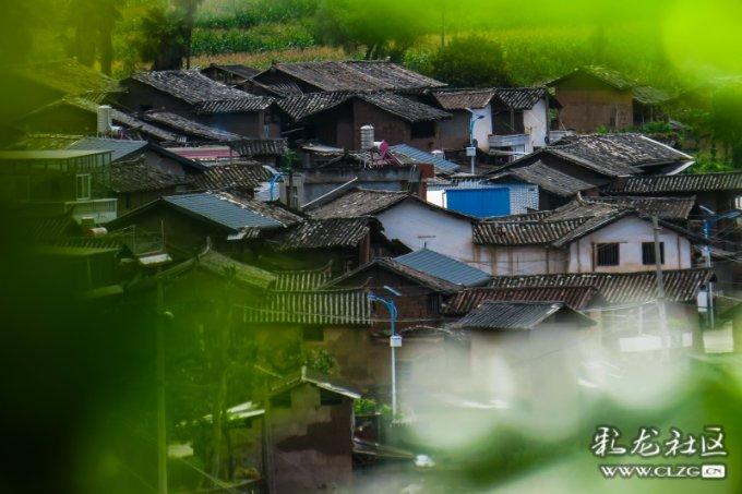 逃离空旷大街8